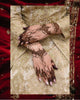 Riwaayat collection Fh-302 (single hand)